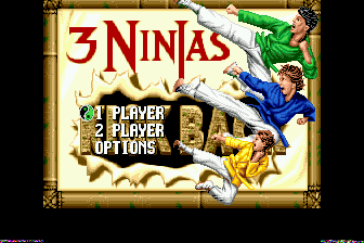 忍者三人组(美)